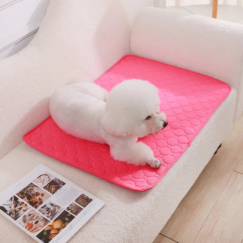 Washable Dog Diaper Mat Reusable Training Pad Waterproof Puppy Bed