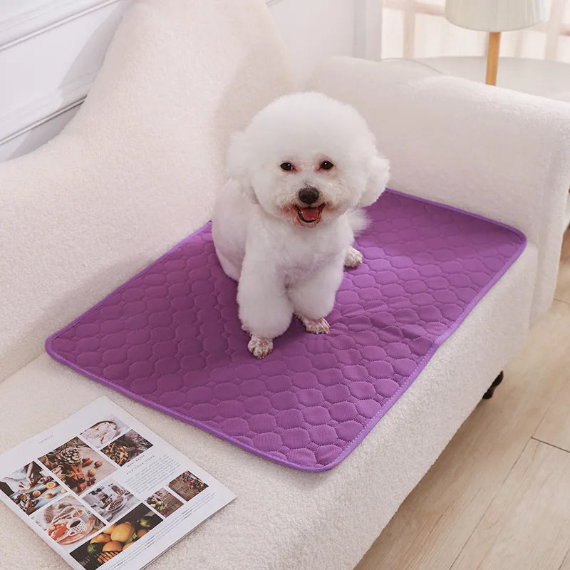 Washable Dog Diaper Mat Reusable Training Pad Waterproof Puppy Bed