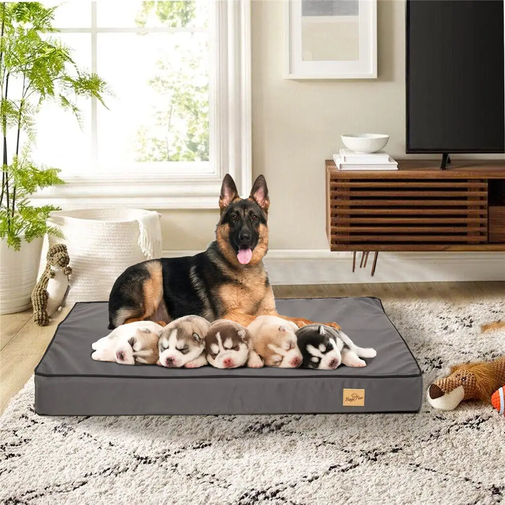 Dog Bed Orthopedic Memory Foam Base With Washable Cover