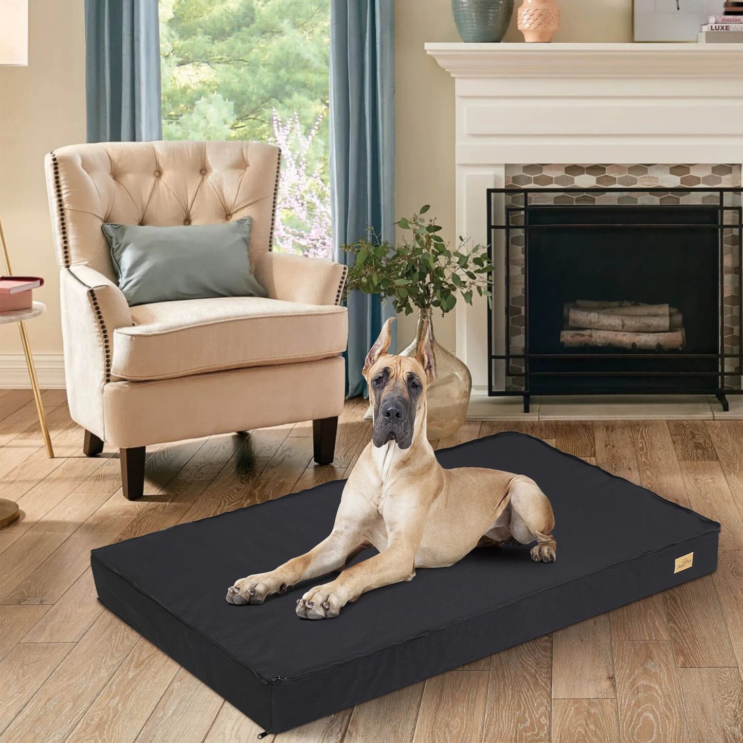 Dog Bed Orthopedic Memory Foam Base With Washable Cover