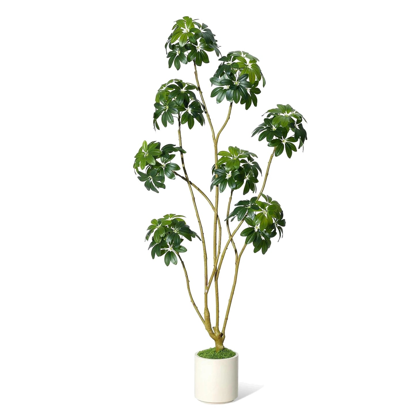HiMISS Faux Plant In Decorative Planter With Multi Trunk Design