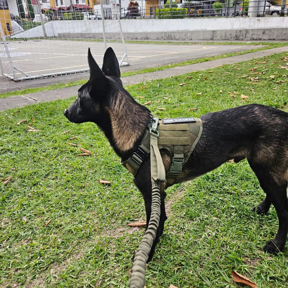 PETRAVEL Tactical Dog Harness Leash Set for Large Dogs Training