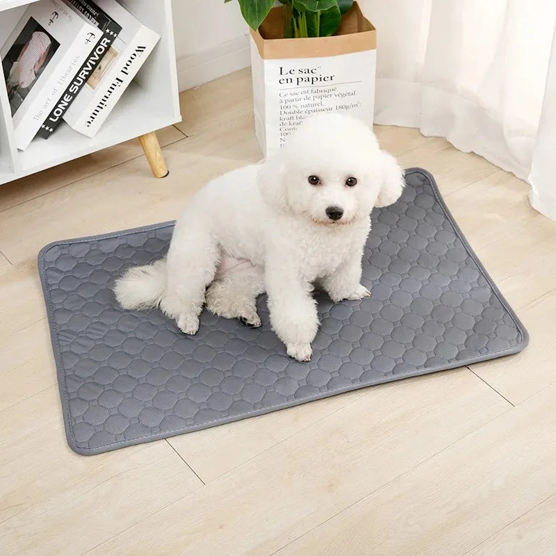 Reusable Dog Pee Pad Blanket Absorbent Puppy Training Pad