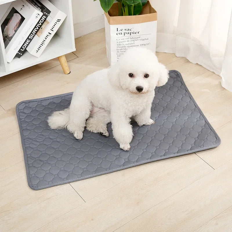 Washable Dog Diaper Mat Reusable Training Pad Waterproof Puppy Bed