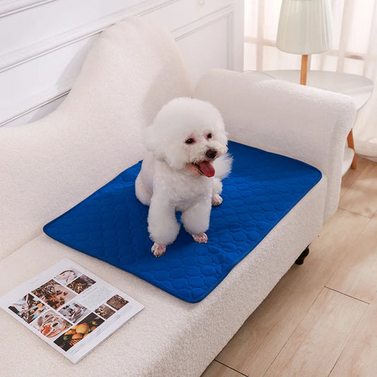Washable Dog Diaper Mat Reusable Training Pad Waterproof Puppy Bed