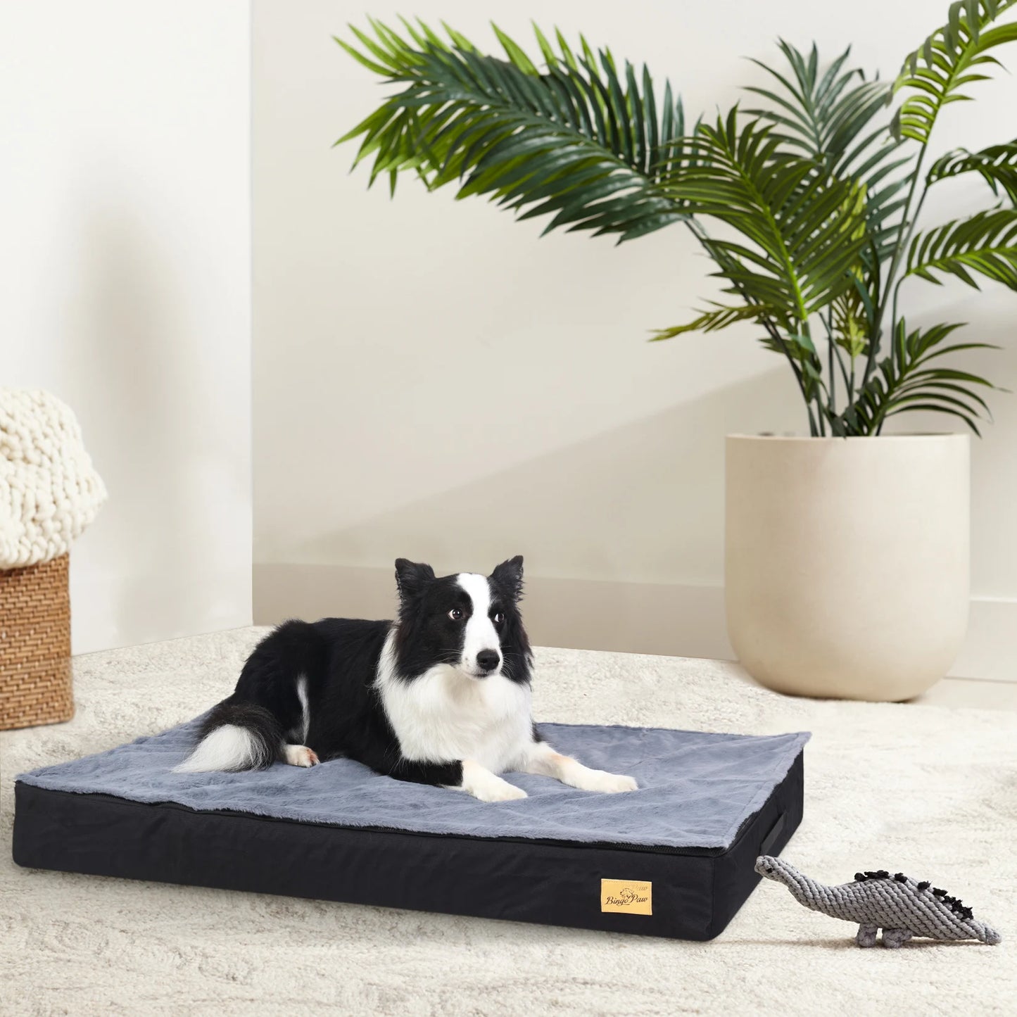 Dog Bed Orthopedic Memory Foam Base With Washable Cover