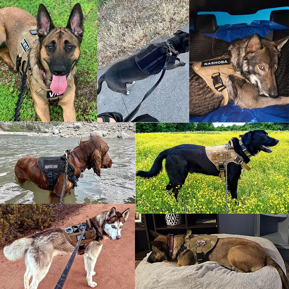 PETRAVEL Tactical Dog Harness Leash Set for Large Dogs Training