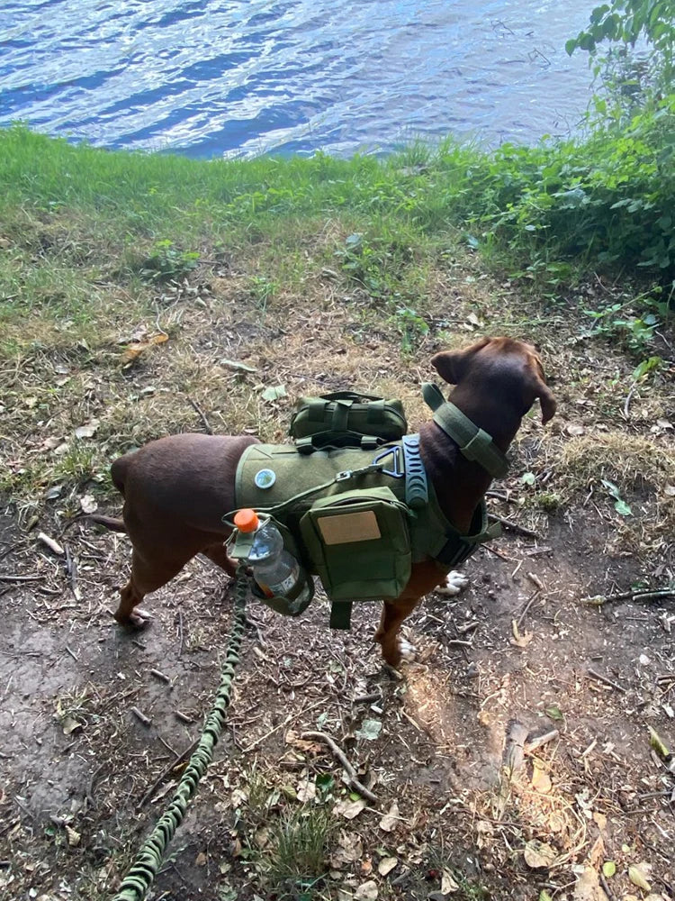 PETRAVEL Tactical Dog Harness Molle Vest With Pouches