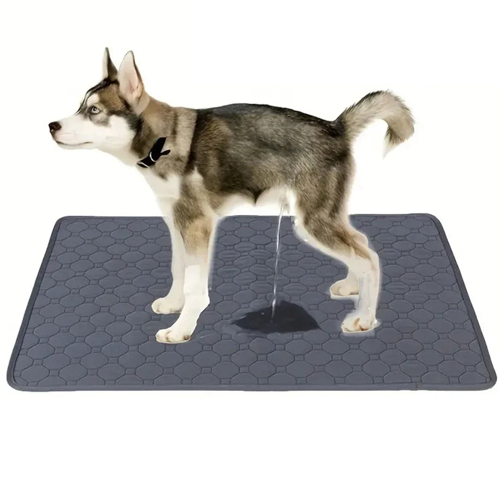 Reusable Dog Pee Pad Blanket Absorbent Puppy Training Pad